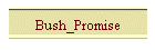 Bush_Promise